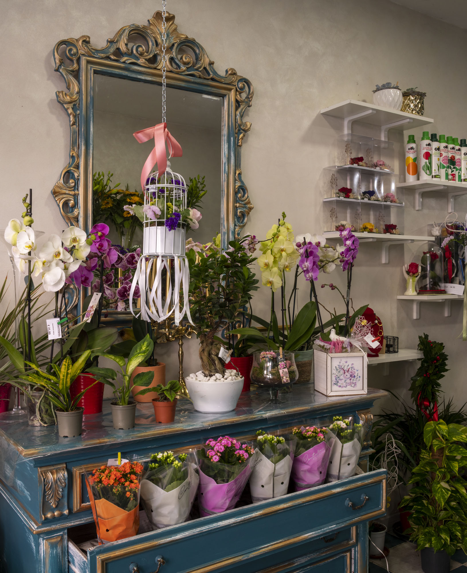 Il Giardino del Corso Nepi 1